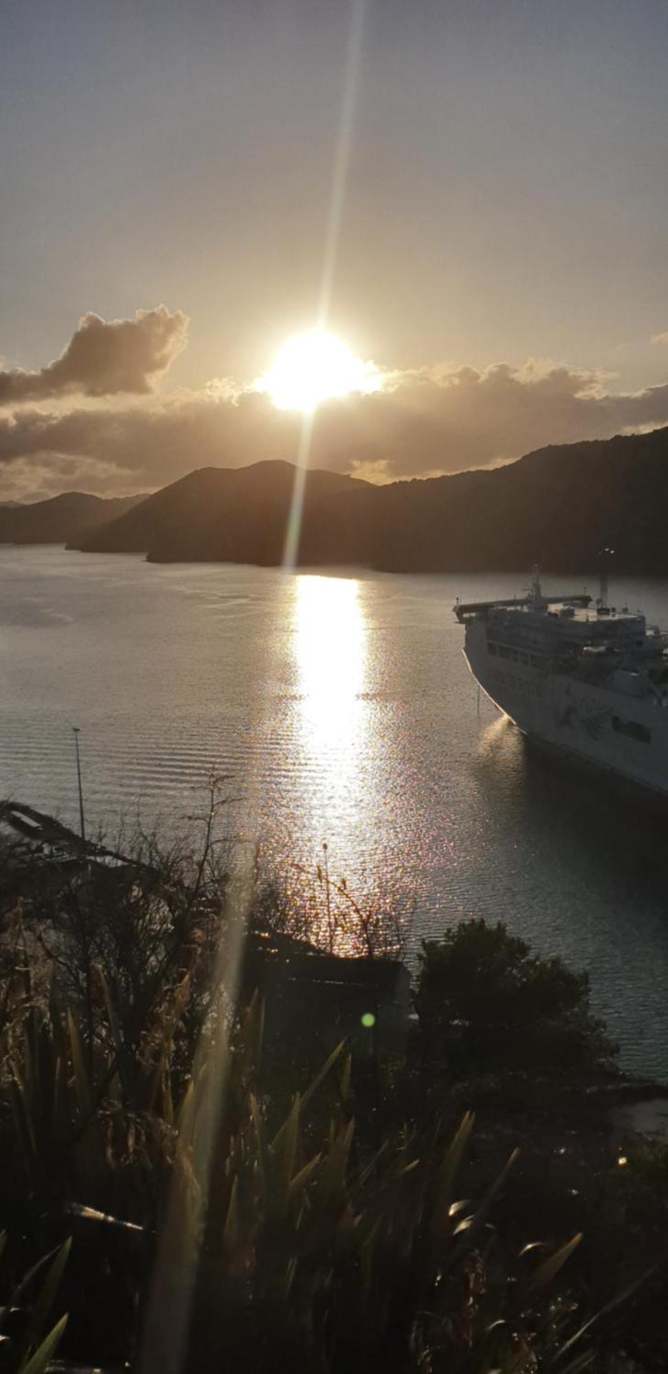 Enchanted Escape Picton Bagian luar foto