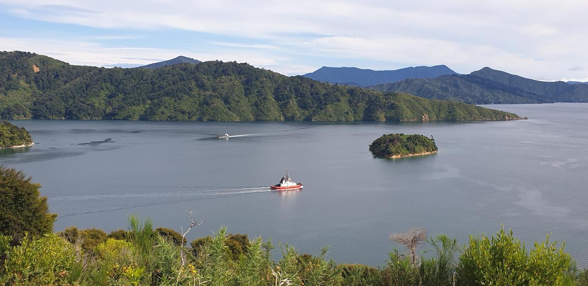 Enchanted Escape Picton Bagian luar foto